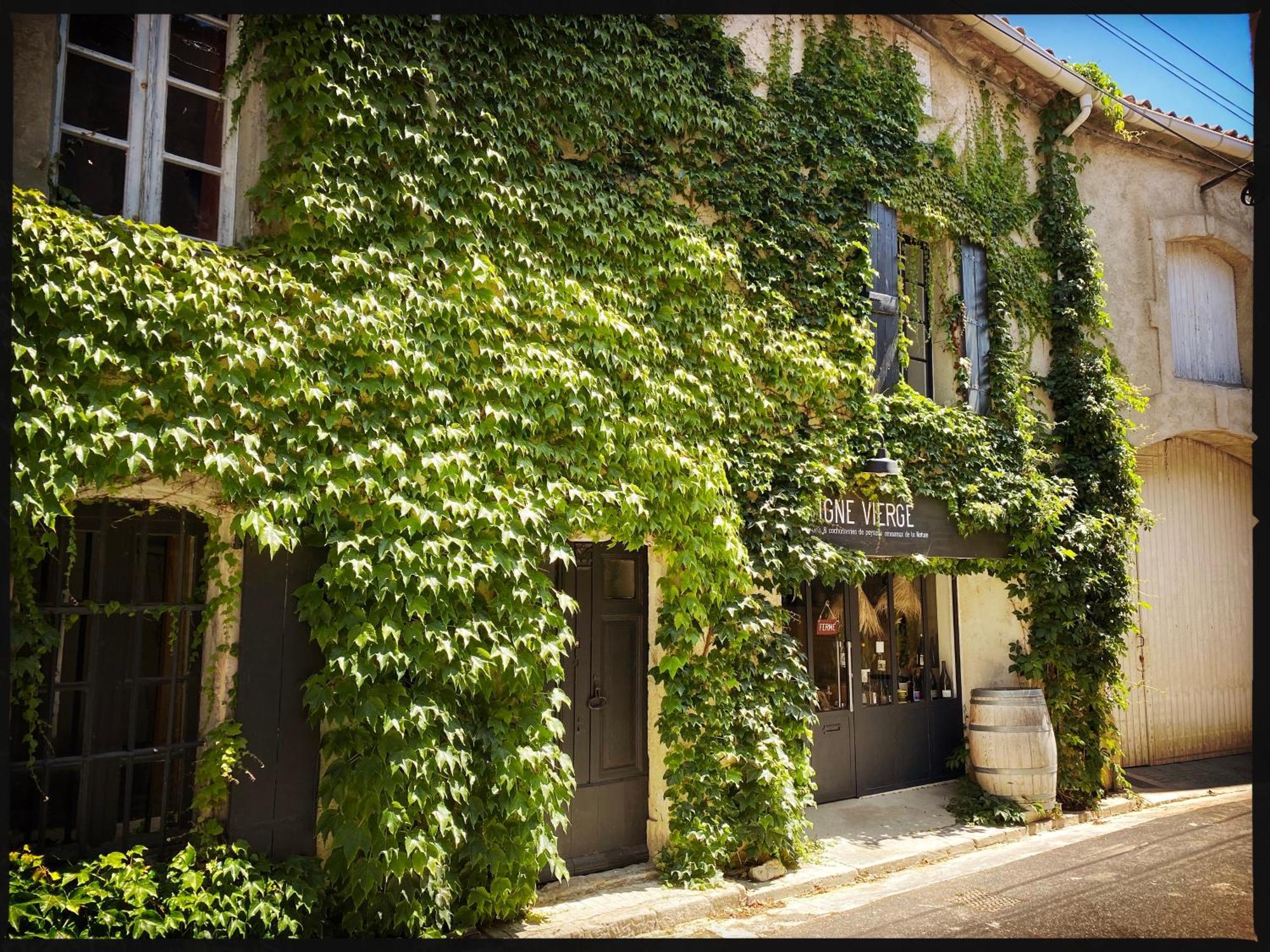 B&B Vigne Vierge Aigne  Exterior foto